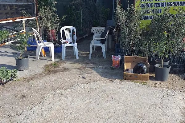 Duygu Halı Temizleme - Resim 2