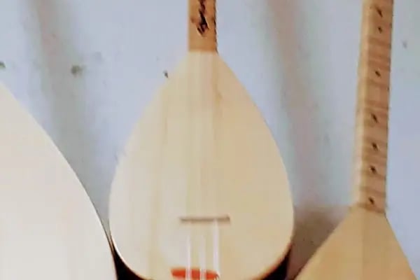 Arslan Saz - Müzik Evi - Resim 7