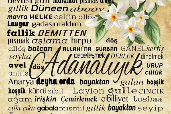 Adana İşi - Resim 2