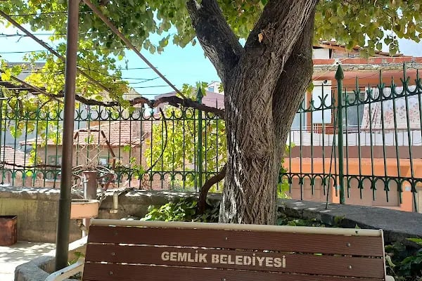 Gemlik Müftülüğü - Resim 13