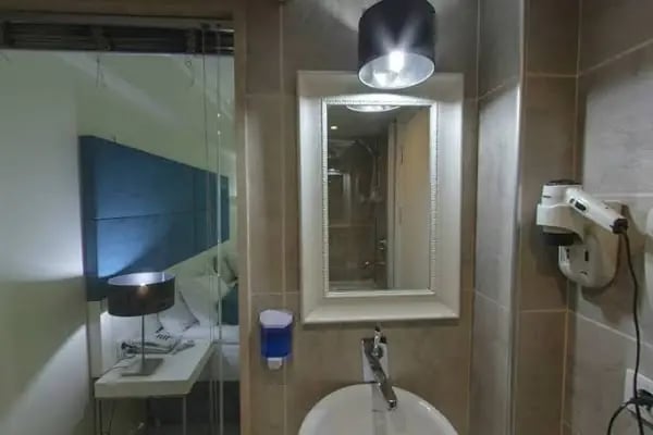 Atatürk Palas - A Luxury Collection Thermal Spa &amp; Convention Center - Resim 3