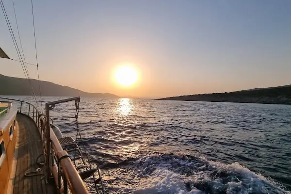 Yüksel Çağlar Hatıra Ormanı - Resim 15