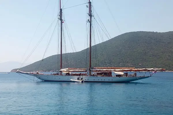 Yüksel Çağlar Hatıra Ormanı - Resim 3