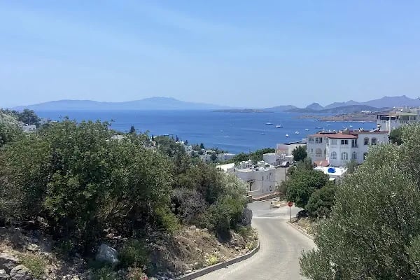 Yüksel Çağlar Hatıra Ormanı - Resim 8