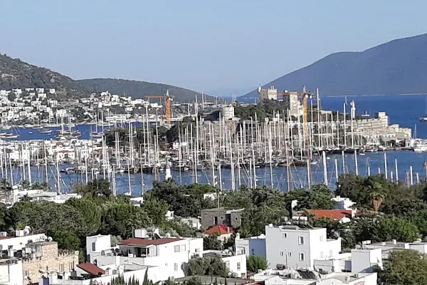 Yüksel Çağlar Hatıra Ormanı - Resim 1