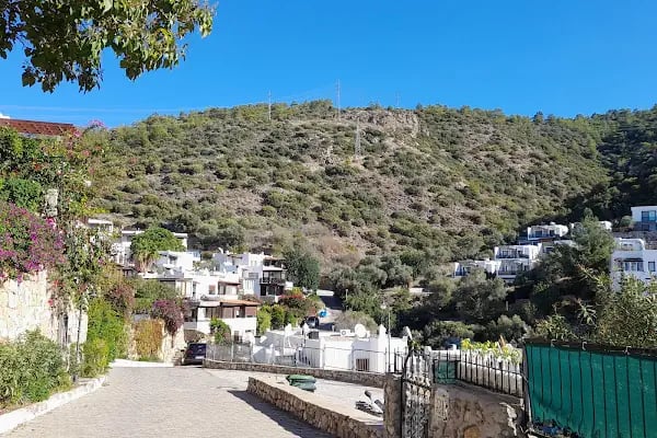 Yüksel Çağlar Hatıra Ormanı - Resim 18