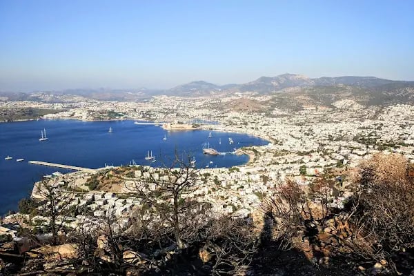 Yüksel Çağlar Hatıra Ormanı - Resim 12