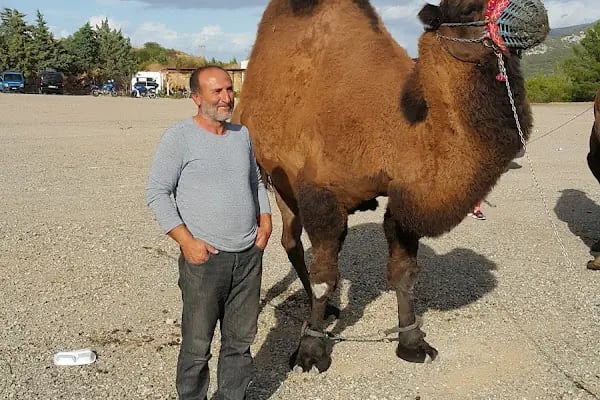 Yüksel Çağlar Hatıra Ormanı - Resim 16