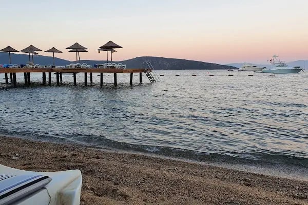 Yüksel Çağlar Hatıra Ormanı - Resim 13