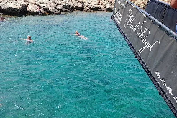 Yüksel Çağlar Hatıra Ormanı - Resim 17