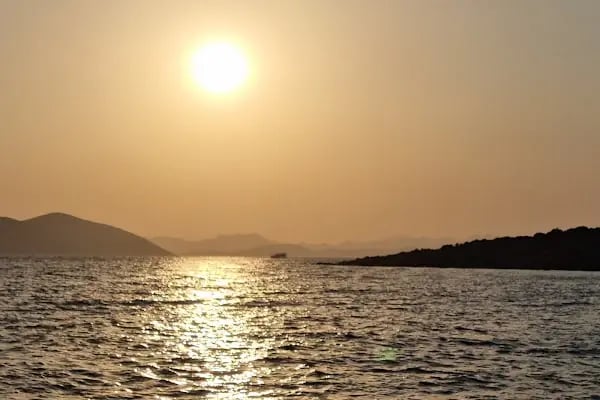 Yüksel Çağlar Hatıra Ormanı - Resim 10
