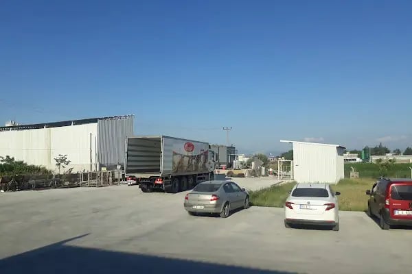 Özışık Süt Ürünleri - Resim 7