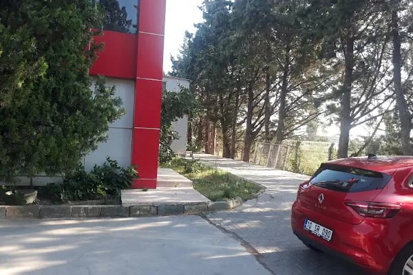 Özışık Süt Ürünleri - Resim 10