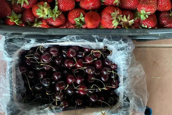 Anka Tarım Toptan Meyve Sebze - Resim 17