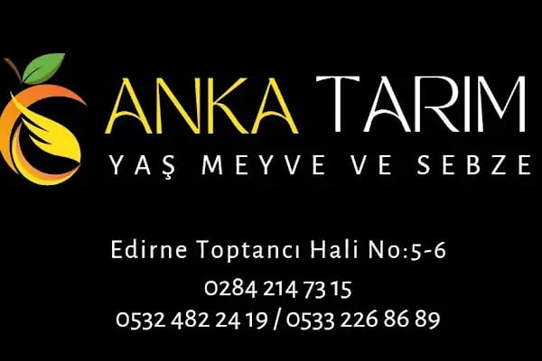 Anka Tarım Toptan Meyve Sebze - Resim 15