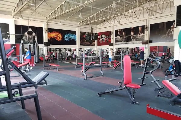 Form Fitness Center AYDIN - Resim 5