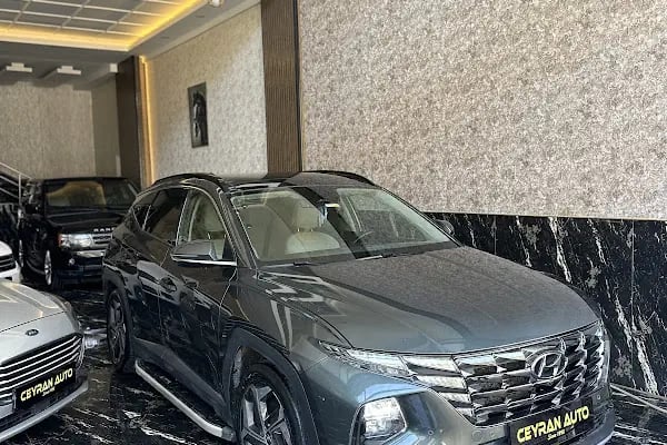 Ceyran Auto - Resim 12