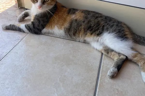Derya Budak Fotografcilik - Resim 18
