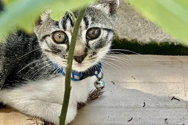 Derya Budak Fotografcilik - Resim 7