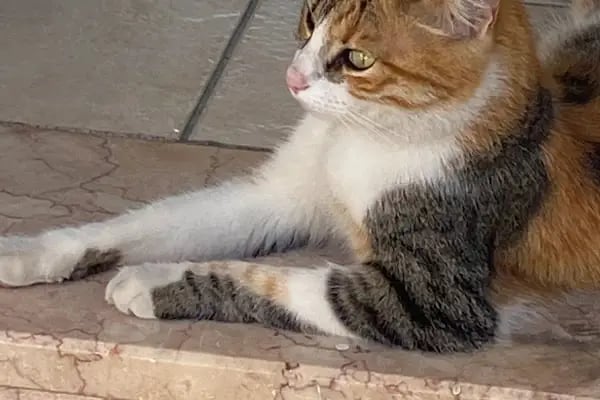 Derya Budak Fotografcilik - Resim 17