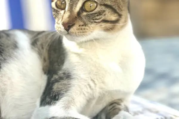 Derya Budak Fotografcilik - Resim 13