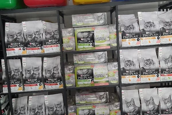Balım Petshop - Resim 12