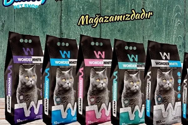 Balım Petshop - Resim 15