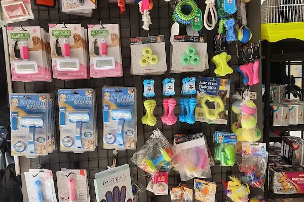 Balım Petshop - Resim 11