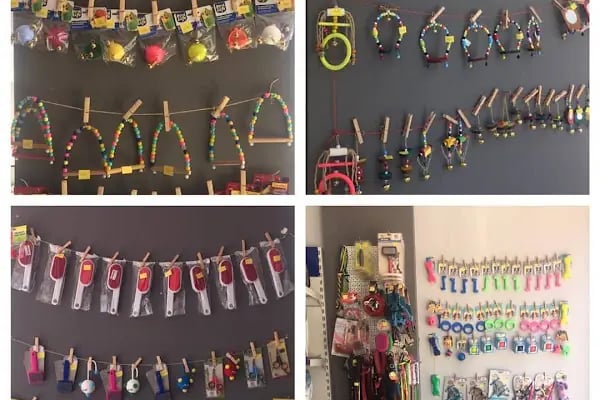 Balım Petshop - Resim 10