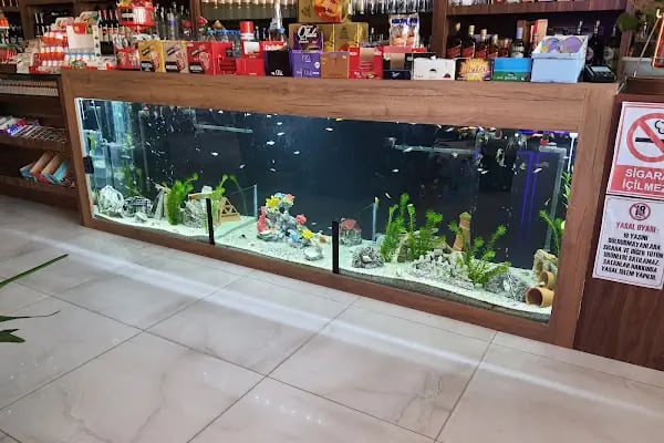 Balım Petshop - Resim 9