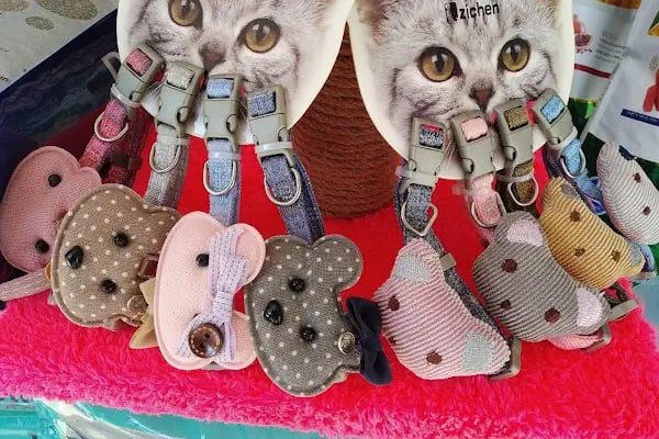 Balım Petshop - Resim 17