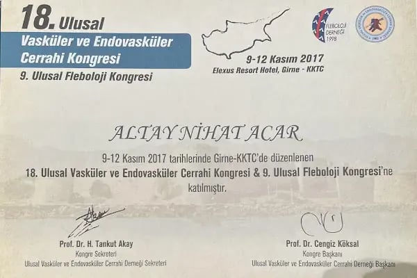 Altay Nihat Acar - Resim 11