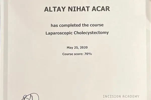 Altay Nihat Acar - Resim 4