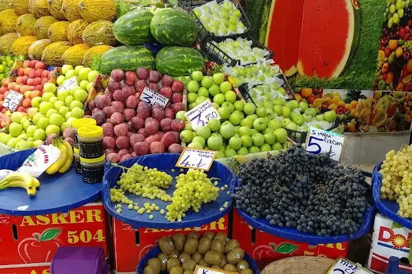 Bağcılar Belediyesi Osman Gazi Parkı - Resim 7