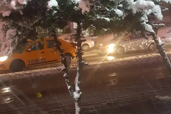 Bağcılar Belediyesi Osman Gazi Parkı - Resim 12