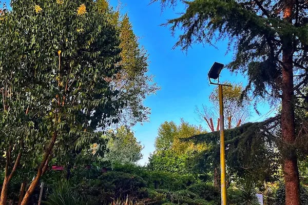 Bağcılar Belediyesi Osman Gazi Parkı - Resim 9