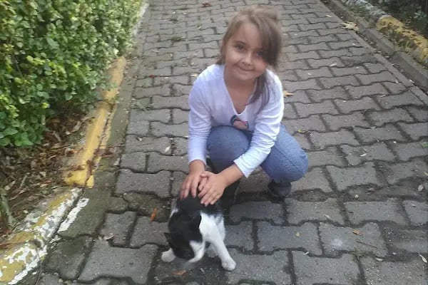 Bağcılar Belediyesi Osman Gazi Parkı - Resim 8