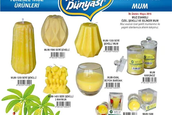 MUZ DÜNYASI - Resim 13