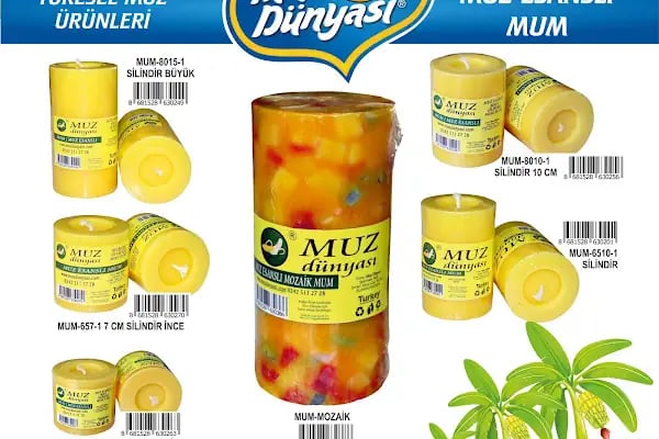 MUZ DÜNYASI - Resim 9