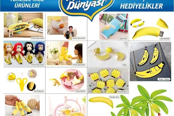 MUZ DÜNYASI - Resim 18