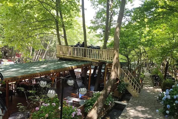 Selale Dere Park - Resim 10
