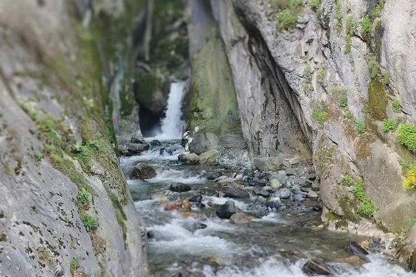 Selale Dere Park - Resim 5
