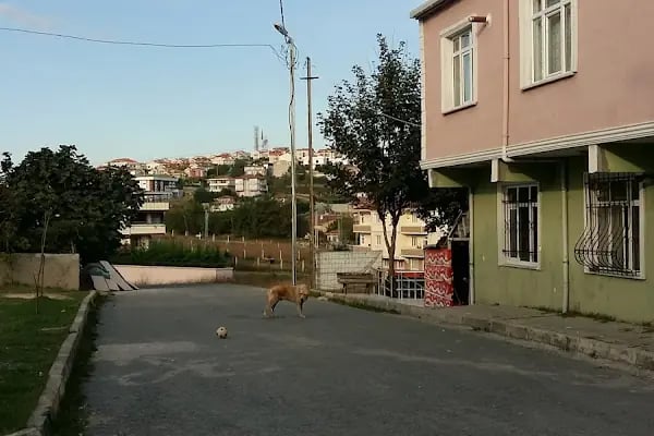 Taşoluk Bağlar Cami - Resim 3