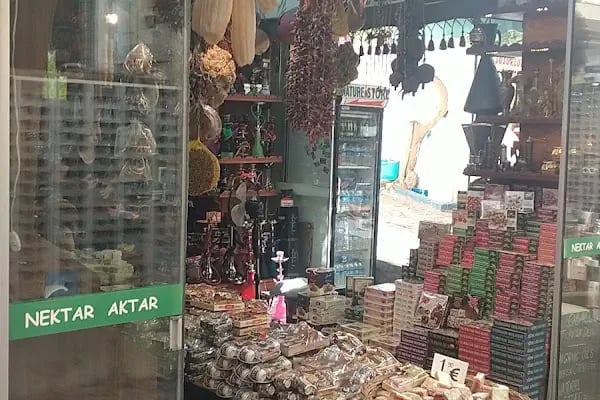 NEKTAR AKTAR - Resim 3