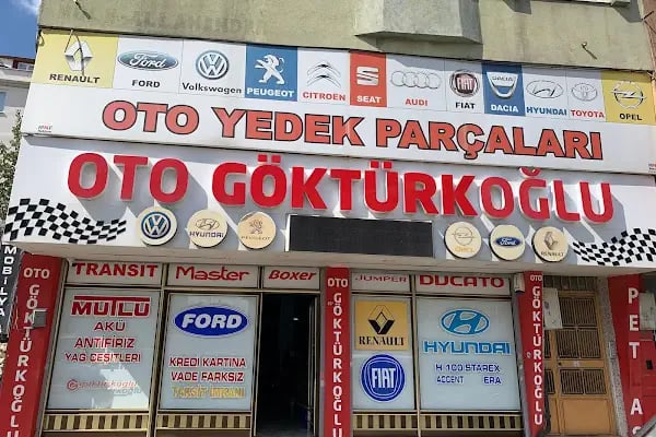Oto Göktürkoğlu - Resim 9