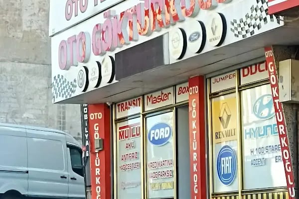 Oto Göktürkoğlu - Resim 10