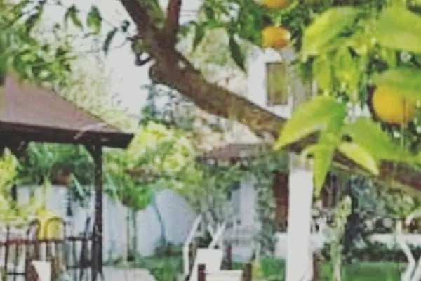 Mono Apart Hotel - Resim 12
