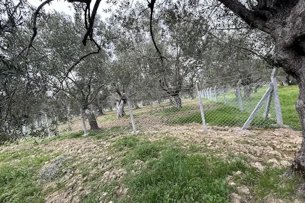 BALIKESİR TEL ÇİT-EDREMİT-AYVALIK-AKÇAY-BURHANİYE-KEPSUT-SINDIRGI-BİGADİÇ-AKÇAY-EDREMİT-BAŞDEMİR TEL ÇİT - Resim 19