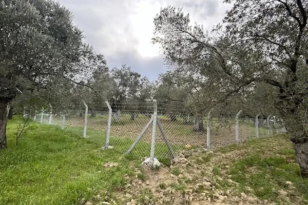 BALIKESİR TEL ÇİT-EDREMİT-AYVALIK-AKÇAY-BURHANİYE-KEPSUT-SINDIRGI-BİGADİÇ-AKÇAY-EDREMİT-BAŞDEMİR TEL ÇİT - Resim 3