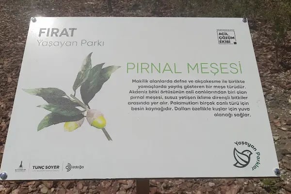 Fırat Parkı - Resim 16